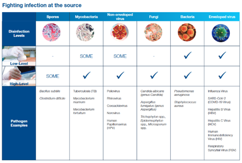 A table with a list of bacteria
AI-generated content may be incorrect.
